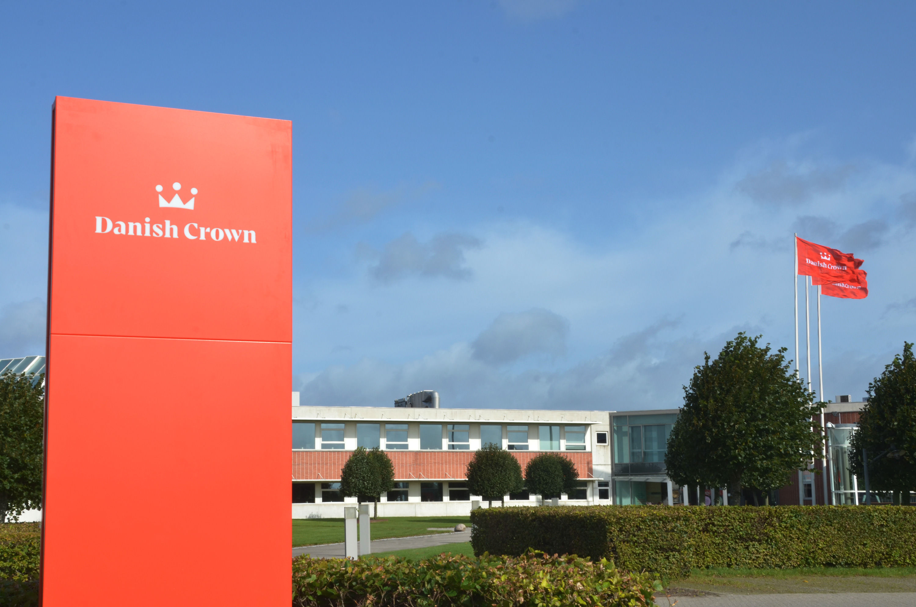 Danish Crown 1 Medium