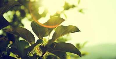 Micah Hallahan 3 Ebugmkzuq Unsplash