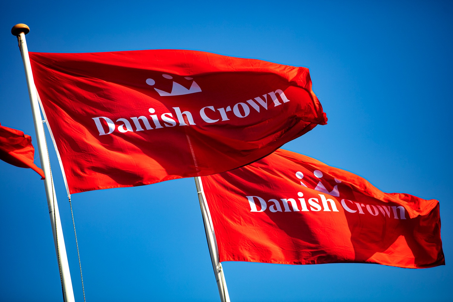 Danish Crown 2 Medium