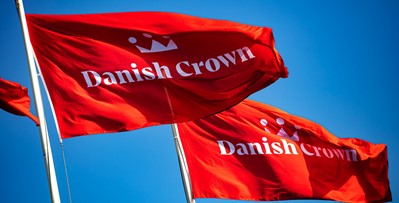 Danish Crown 2 Medium